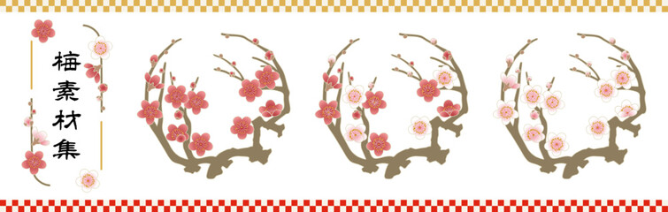 梅の花フレームセット｜紅白の梅の花, 和風デザイン, 春の飾り, 年賀状, 正月, 梅の枝, 和柄, 花の輪, ベクター, 背景透過, 梅の花素材