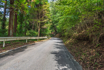 国道299号線十石峠の群馬県側の狭い山道