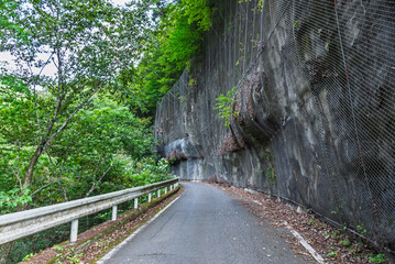国道299号線十石峠の群馬県側の狭い山道