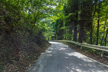 国道299号線十石峠の群馬県側の狭い山道