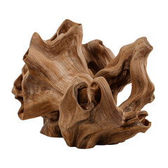 Intricate organic form sculpted from warm hued wood against an isolated transparent setting