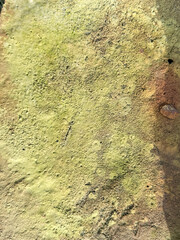 A wall with a greenish-yellowish color and some dirt on it