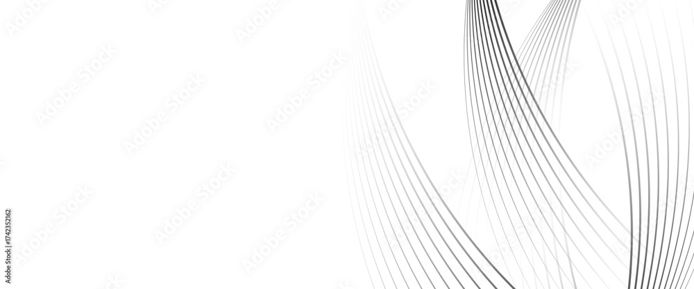 Wall mural vector dynamic elegant curves wave line for background