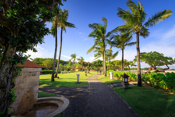 Fototapeta premium Path leads to a fountain in a lush green park