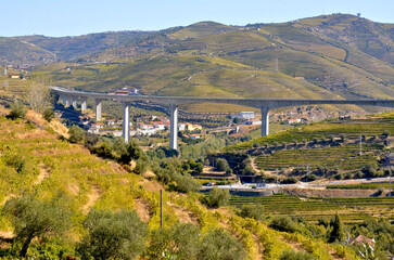 Curves of Connection: Miguel Torga Bridge Linking the Douro&rsquo;s Vine-Clad Banks in Portugal