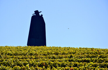 Sentinel of the Slopes: A Symbolic Figure Watching Over the Douro Vines in Portugal