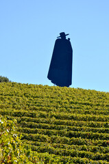 Sentinel of the Slopes: A Symbolic Figure Watching Over the Douro Vines in Portugal