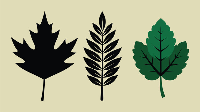 Three stylized leaves in different shapes