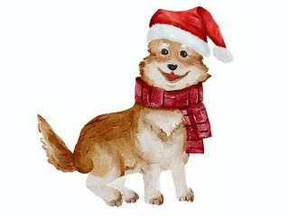 Christmas dog in a hat watercolor illustration