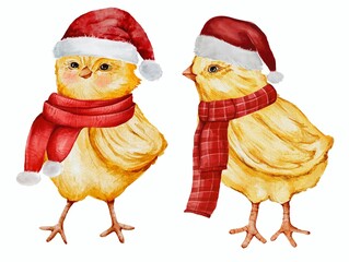 Watercolor chicken in a Santa Claus hat, hens