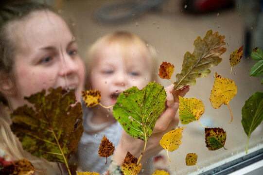Young mother and her 15-month-old son playing creatively indoors on a rainy day, decorating the window with colorful autumn leaves, learning and bonding through nature-inspired play