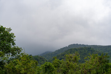 A cloudy sky with trees in the background