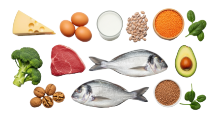 Flat lay of diverse healthy food: cheese, eggs, lentils, milk, broccoli, steak, fish, avocado, walnuts, spinach on white, soft gray background with copy space, balanced nutrition concept