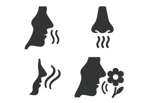 Smelling icon vector illustration set. Olfaction symbol collection. Sense of smell concept. Human nose breathing in fragrance, scent, aroma, odor. Person smells a flower.