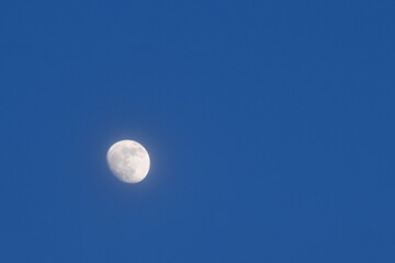 half moon floating on blue sky in twilight background 