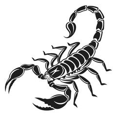 scorpion vector illustration