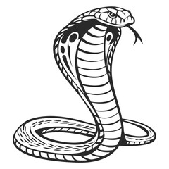Fototapeta premium vector illustration of a snake