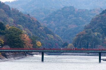 秋の宇治川と紅葉する山々