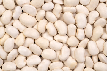 Dry raw white beans background
