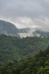 A lush green forest with a large body of water in the background
