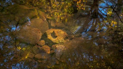 submerged rocks in stream highlighted by a sunbeam