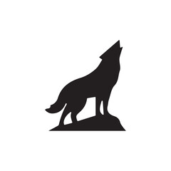 black fox on white background