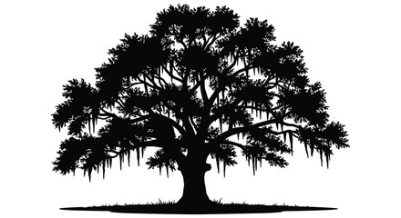 Majestic oak tree silhouette with spanish moss symbolizing nature wisdom growth and longevity isolated on white background silhouette design isolated on white background