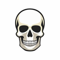 Obraz premium Human Skull Illustration on White Background.