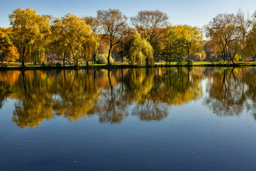 Indian summer in the park. Autumn landscape with beautiful yellow and orange colored trees and reflections in  a pond. Muchowiec, Katowice,  Silesia, Poland