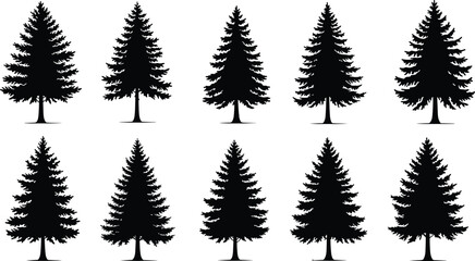 Naklejka premium PrintSilhouette pine trees, black Christmas tree icons, evergreen nature design, forest illustration, fir tree set, winter holiday decoration, vector art