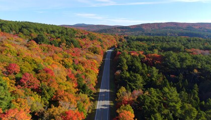 An elevated drone perspective of a scenic highway cutting through a dense forest ablaze with vibrant autumn foliage and colors