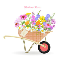 banner with a wheelbarrow of blooming medicinal flowers. card with pharmaceuticals wildflowers in a cart with hang tag. fragrance herbal blooms in barrow with craft paper tag label