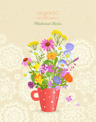 banner with a red cup of blooming medicinal flowers. card with pharmaceuticals wildflowers in a white and red polka mug. fragrance herbal blooms on vintage background
