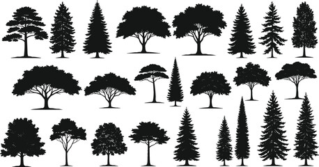PrintTree silhouettes vector collection, black forest illustration, pine, oak, acacia, evergreen, deciduous, isolated nature design, woodland landscape elements, graphic set