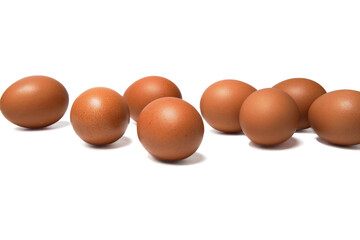 eggs on white background
