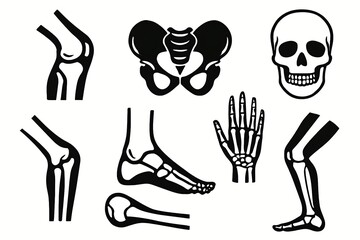 Detailed illustration of human bones, including skull, knee, pelvis, hand, foot, and leg bones.
