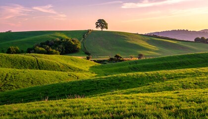 Naklejka premium Rolling Green Hills of Tuscany at Sunset - A Serene Landscape.