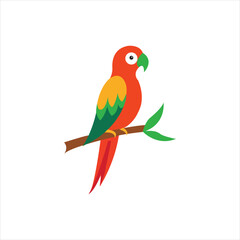 parrot illustration vector