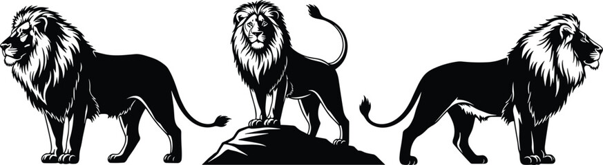 Black and white lion illustration, powerful lion standing on rock, majestic wildlife design, vector silhouette art, king of jungle conceptBlack and white , 