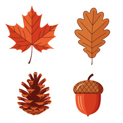 Autumn Maple Leaves and Acorn – Seasonal Fall Nature Foliage Illustration