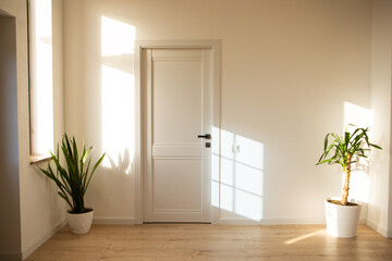plant  and door in room