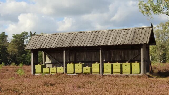 Traditionelles Bienenhaus mit modernen Bienenst&ouml;cken in der L&uuml;neburger Heide