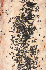 An overhead macro close-up captures the surface of raw bread dough heavily sprinkled with a horizontal band of black sesame seeds