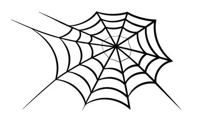 Hand drawn spider web illustration on a white background