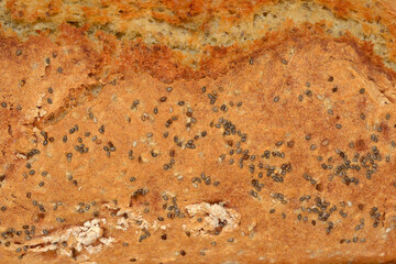 A close-up texture shot of a rustic, freshly baked whole-grain bread loaf generously topped with chia seeds