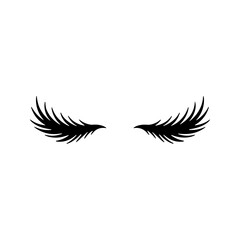 A pair of dramatic, winged false eyelashes are displayed against a white background, commonly used to enhance the eyes.