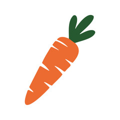 This vector illustration shows an orange carrot with visible segments and green leaves on top against a white backdrop.