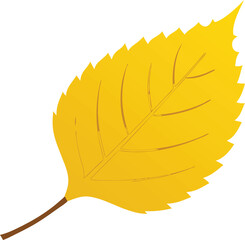 Single bright yellow autumn leaf with detailed veins on a white background