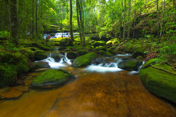 stream in green forest on rainy season
