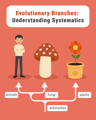 Evolutionary tree infographic: humans, mushrooms, and plants